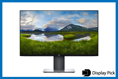 Dell U2421HE 24 Inch FHD Monitor for programming